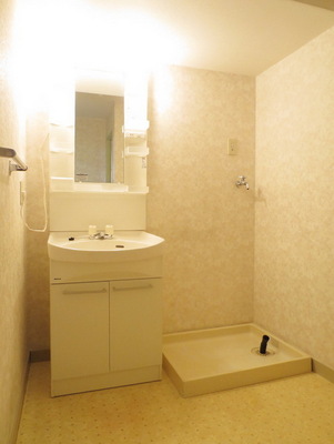 Washroom. Wash basin