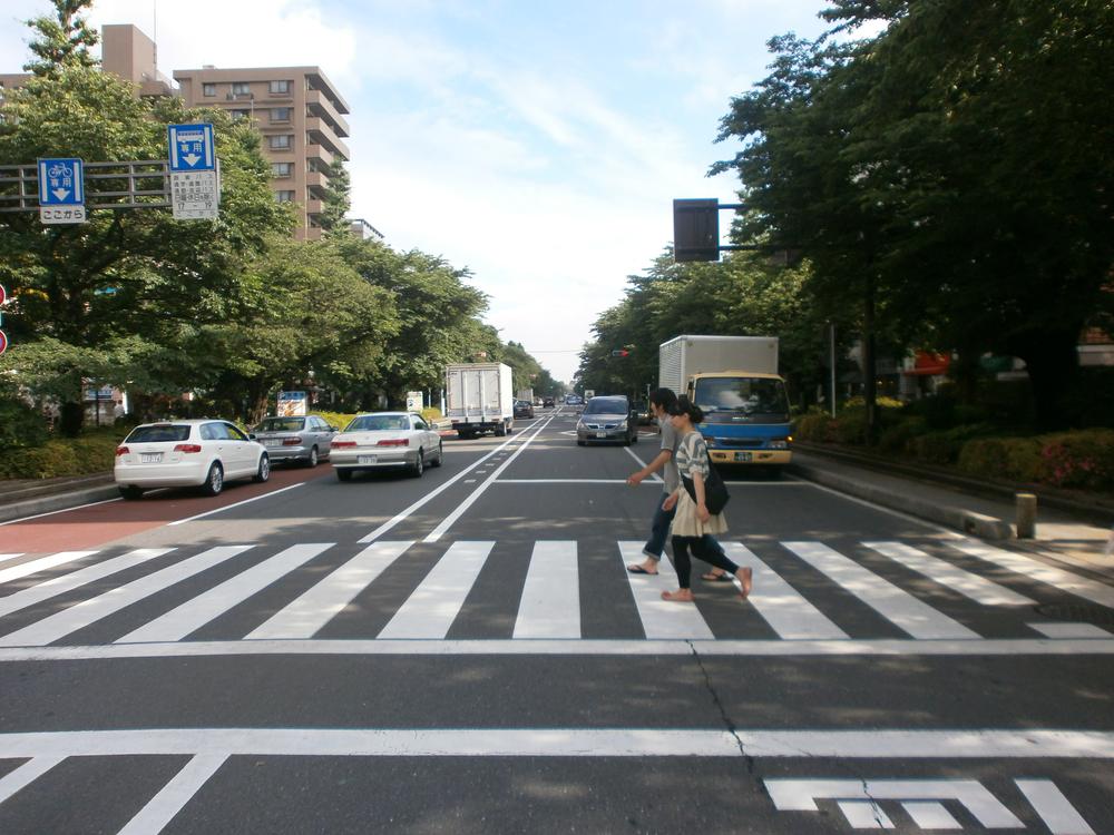 Other Environmental Photo. Street University