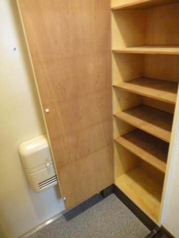 Entrance. Firmly shoebox