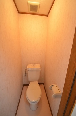 Toilet. Toilet with cleanliness