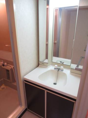 Washroom. There washbasin independent