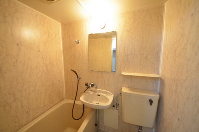 Washroom. Mirror is here