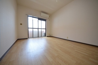 Living and room. Cozy room