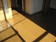 Living and room. South-facing bright rooms