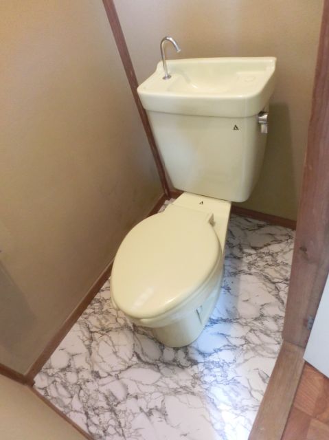 Toilet