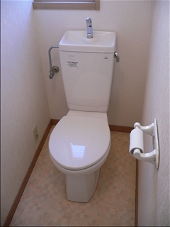 Toilet. Toilet