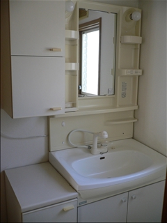 Washroom. Bathroom vanity