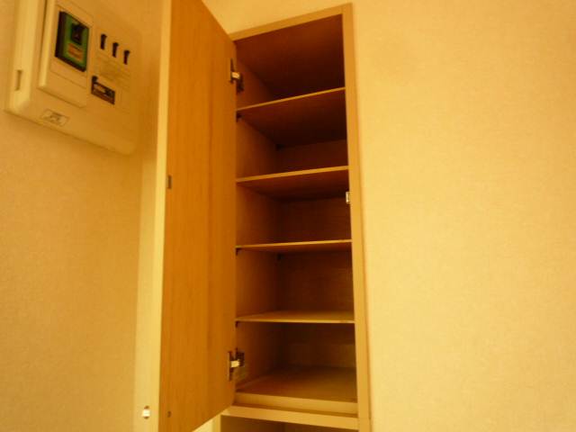 Entrance. There entrance storage