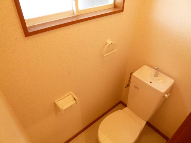 Toilet. Madoyu in toilet