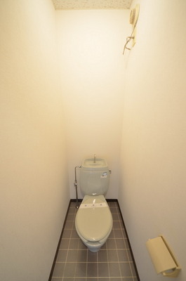 Toilet. Toilet