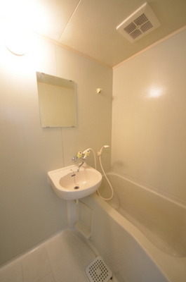 Bath. Spacious bathroom