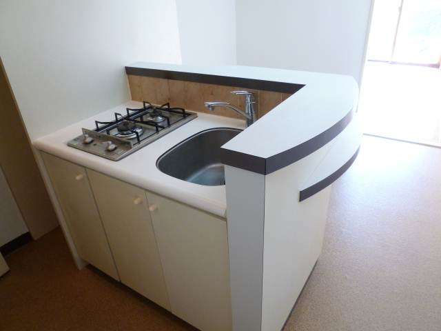 Kitchen. Counter Kitchen