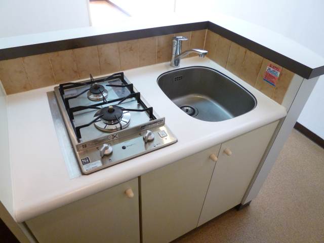 Kitchen. Stylish kitchen