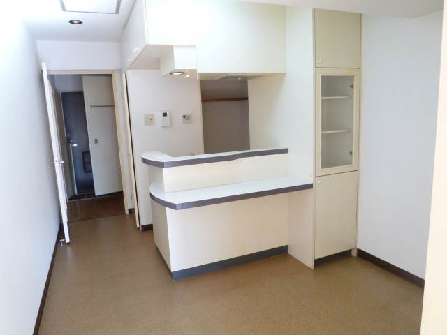 Kitchen. Spacious DK