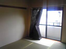 Living and room. Day good