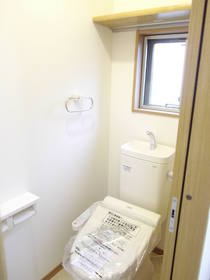 Toilet. Photos will be on the left and right inversion type