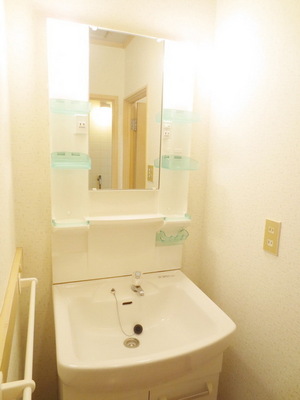 Washroom. Independent wash basin