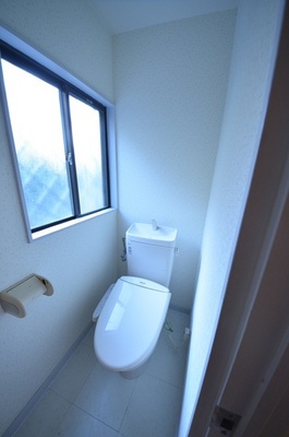 Toilet. Clean toilet