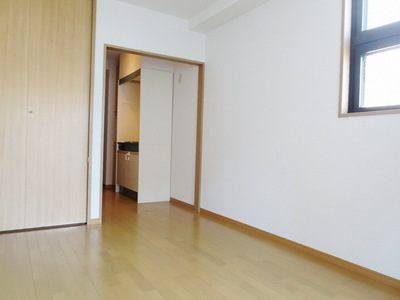 Other room space. Flooring