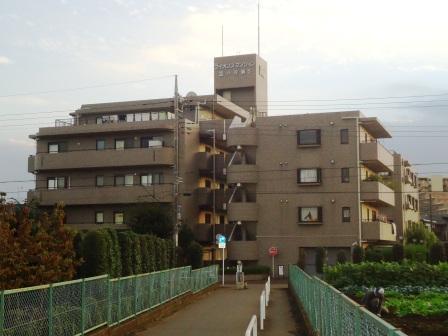 Local appearance photo. Local (10 May 2013) Shooting