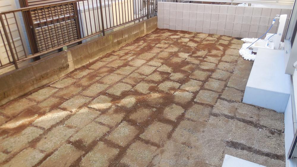 Garden. Local (12 May 2013) Shooting