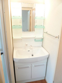 Washroom. Popular shampoo dresser