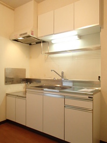 Kitchen. Two-burner gas stove installation Allowed