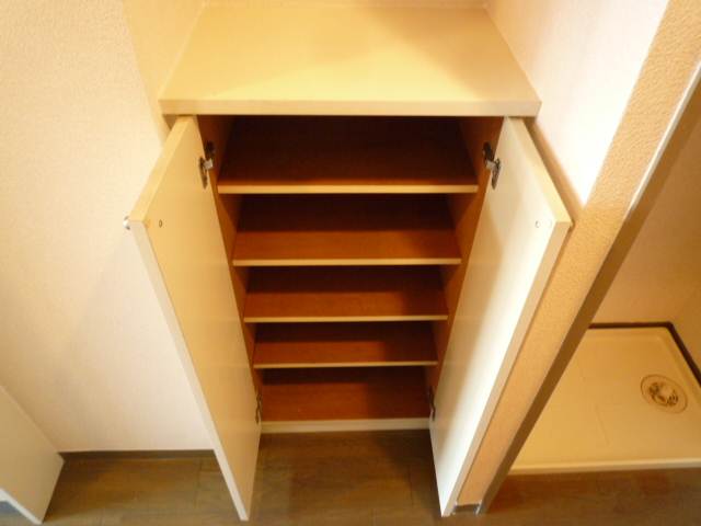 Entrance. There is also a shoe box