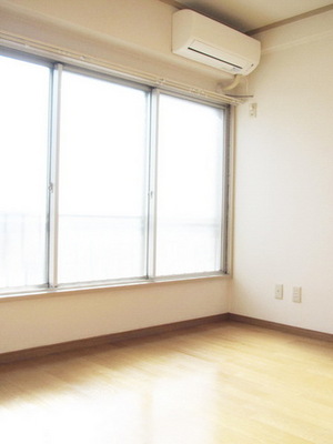 Living and room. Bright rooms