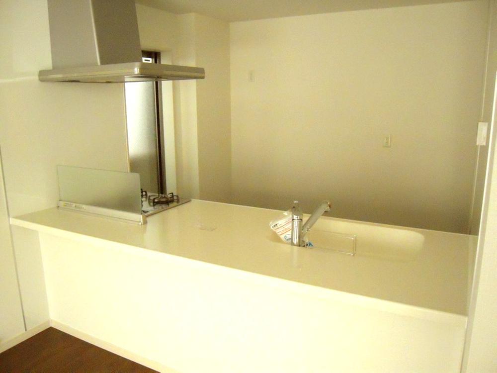 Kitchen. Indoor (11 May 2013) Shooting