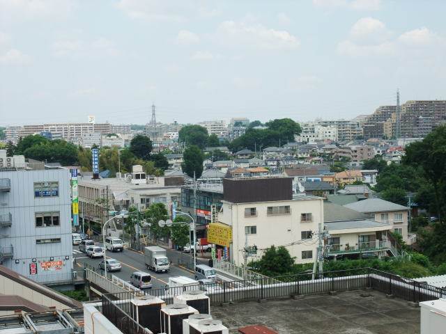 View. The view from the veranda