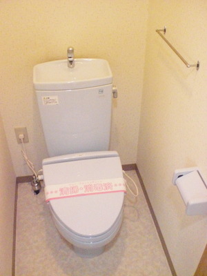 Toilet. Toilet