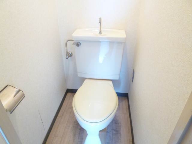Toilet. Pikkapika of toilet