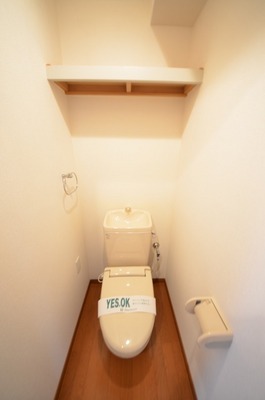 Toilet. ☆ Loose your toilet ☆