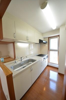 Kitchen. ☆ A good at cooking in this kitchen ☆