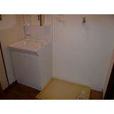 Washroom. There is storage room washing machine