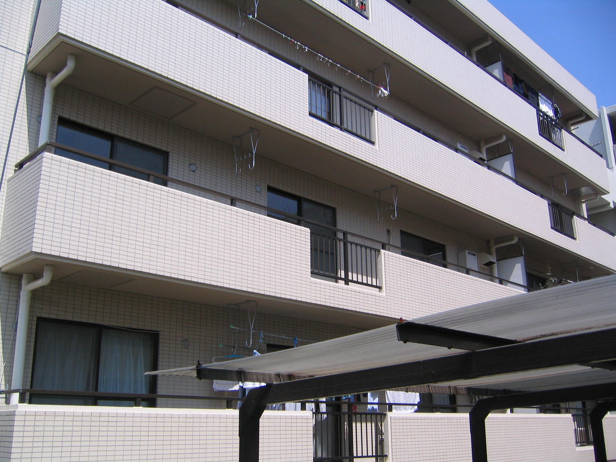 Building appearance. Building from the south side