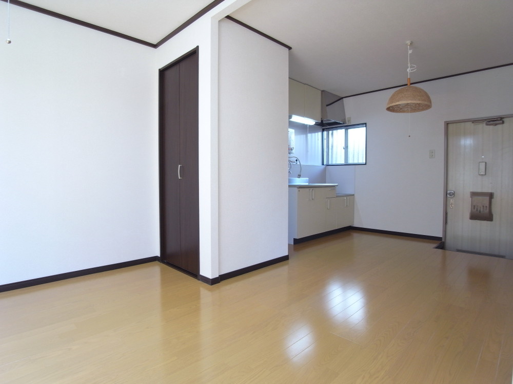 Living and room. Re-covered flooring, closet, Remodeling a kitchen