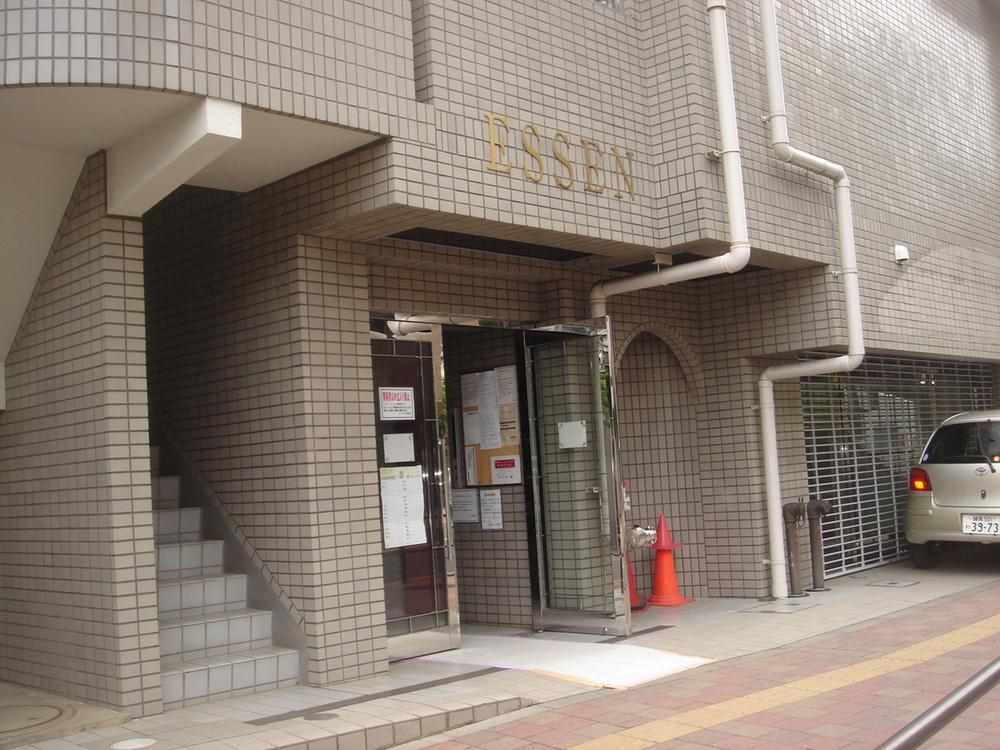 Entrance. Common areas