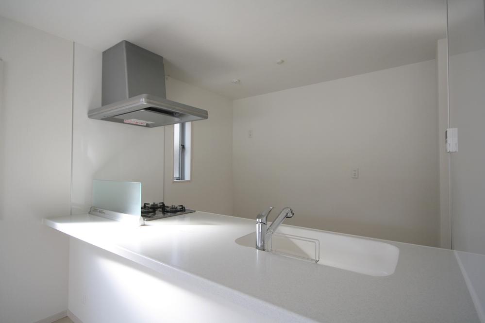 Kitchen. Indoor (11 May 2013) Shooting