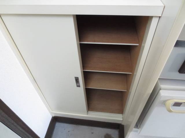 Entrance. Plenty of shoes BOX