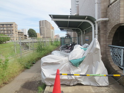 Parking lot. Bicycle parking space