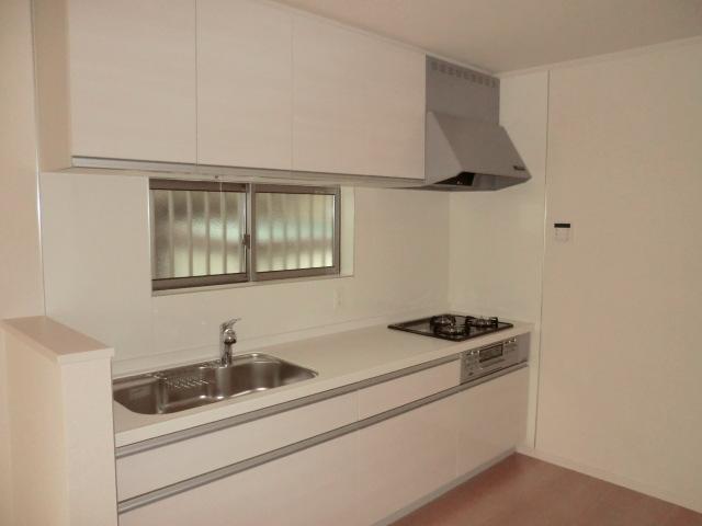 Kitchen. Indoor (September 2013) Shooting