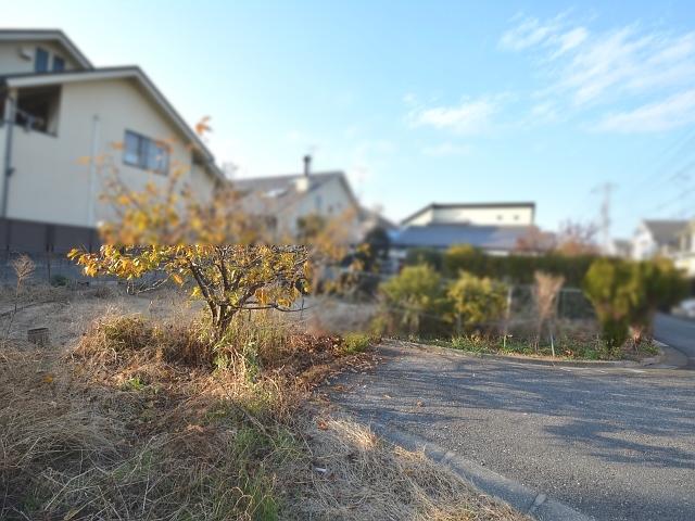 Local land photo. Tokura 1-chome local photo