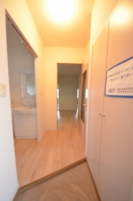 Entrance. The view from the front door