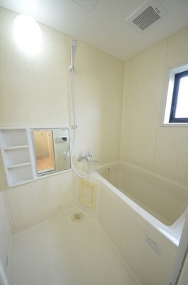 Bath. Spacious bathroom