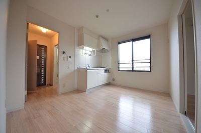 Other room space. Spacious Western-style