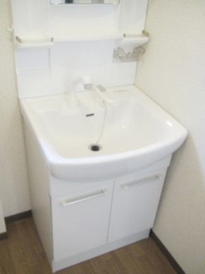 Washroom. Clean wash basin