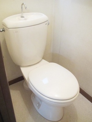 Toilet. Toilet