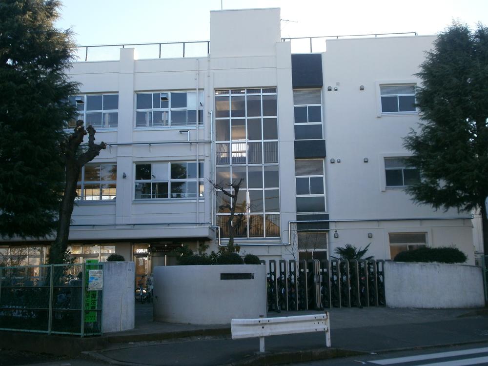 Primary school. Fifth elementary school